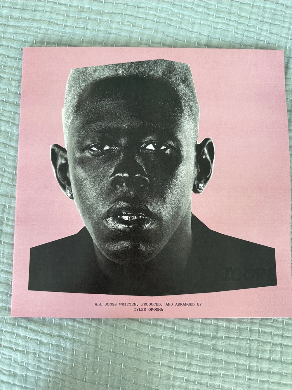 Igor Vinyl Cover Art - Pink and Black Portrait